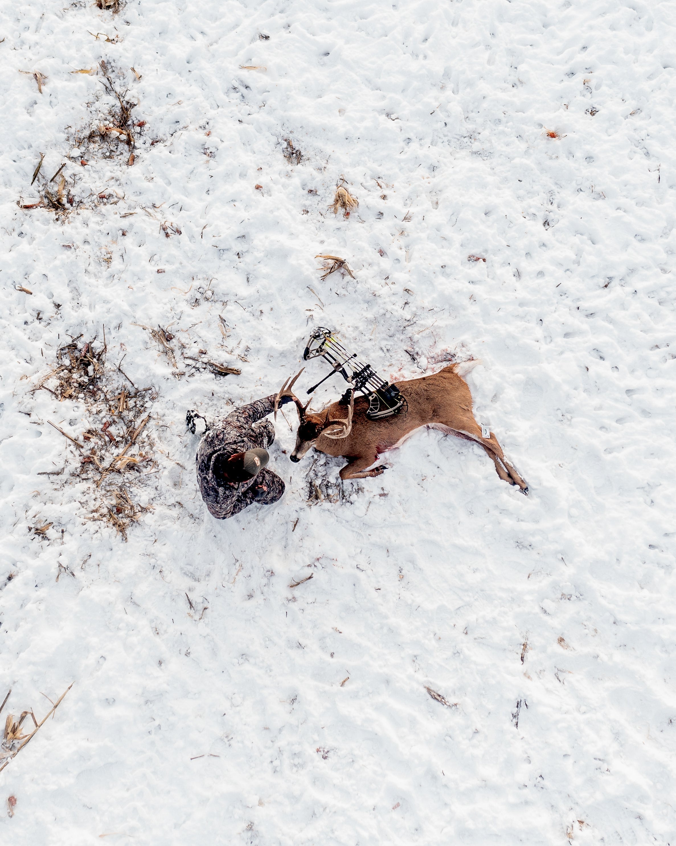 asio bow hunter in late season bowhunting whitetails from a tree