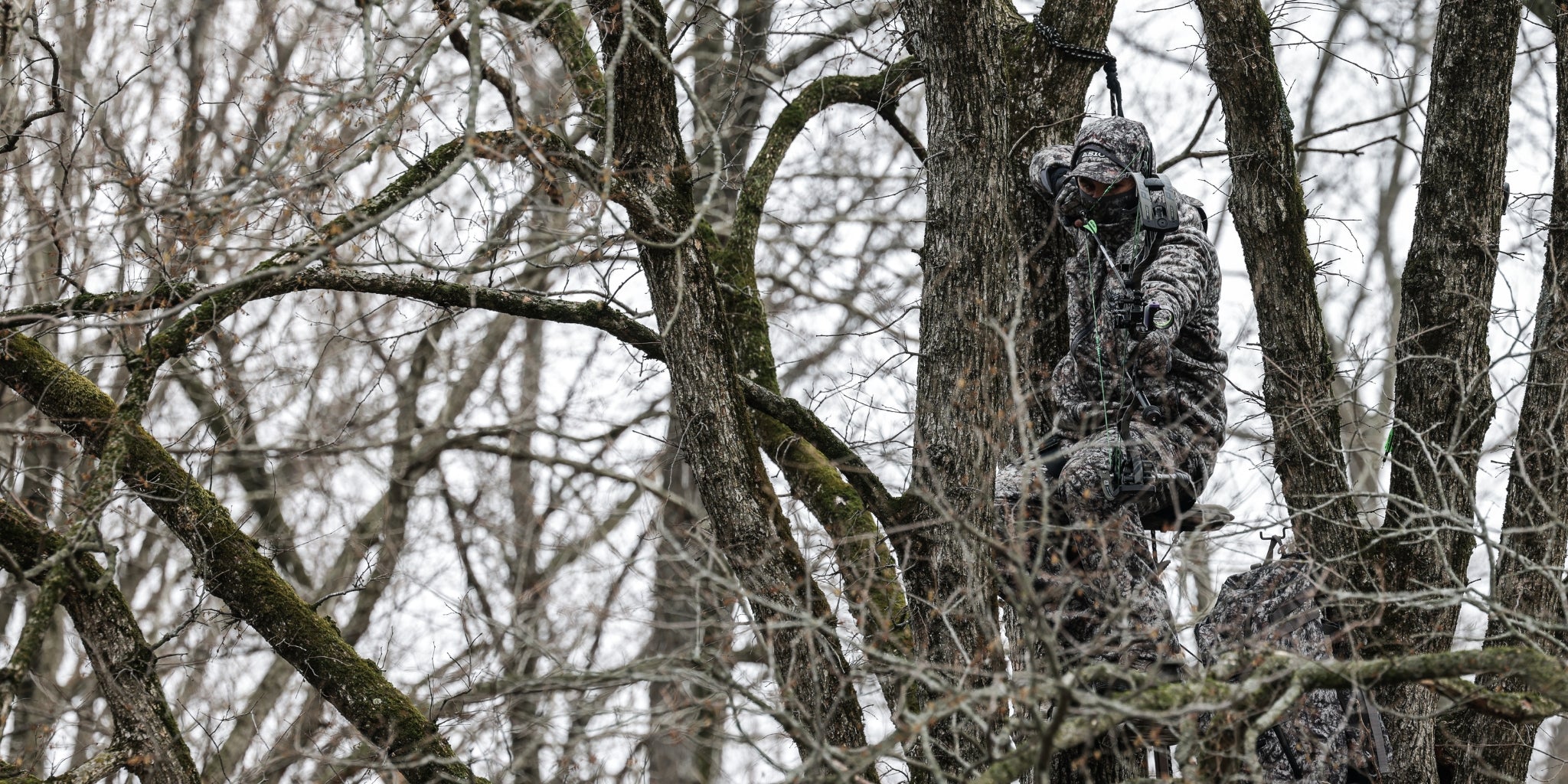 Whitetail Gear Under $50